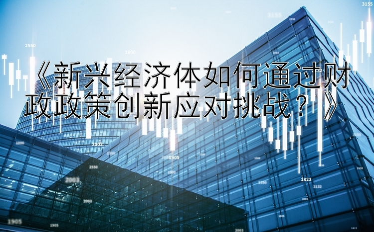 《新兴经济体如何通过财政政策创新应对挑战？》