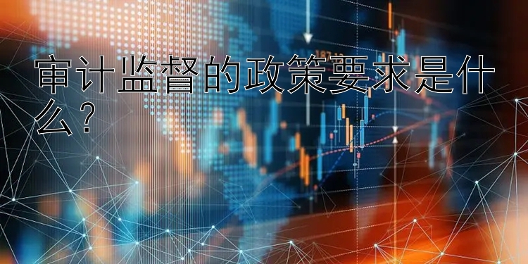 审计监督的政策要求是什么？