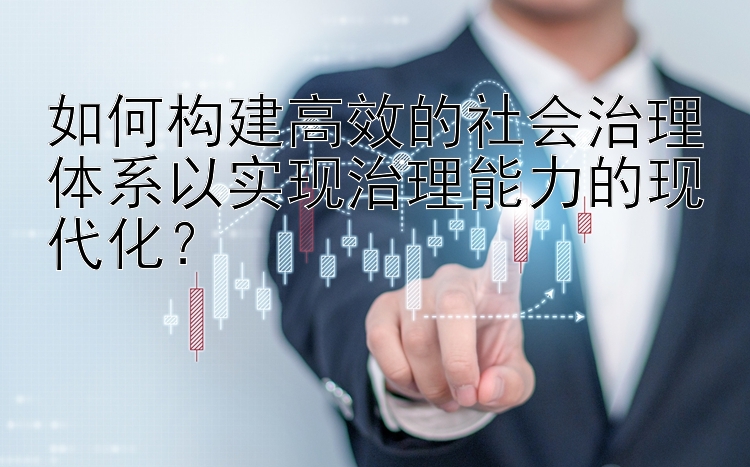 如何构建高效的社会治理体系以实现治理能力的现代化？