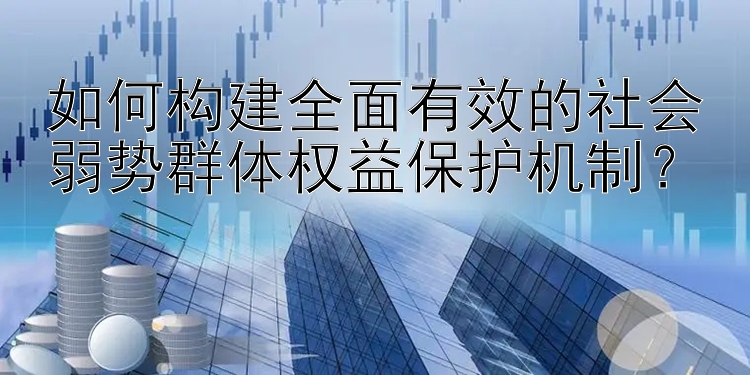 如何构建全面有效的社会弱势群体权益保护机制？