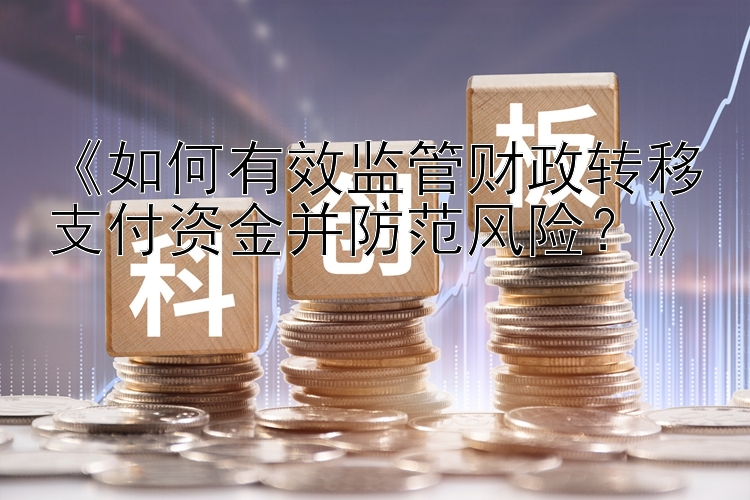 《如何有效监管财政转移支付资金并防范风险？》