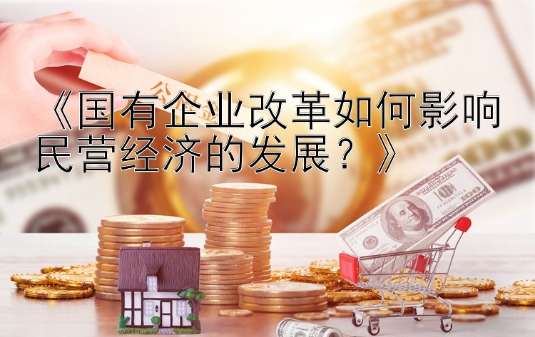 《国有企业改革如何影响民营经济的发展？》