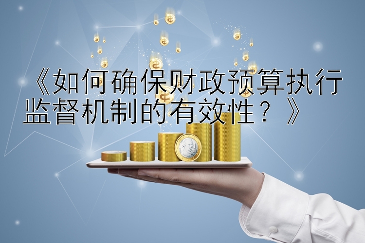 《如何确保财政预算执行监督机制的有效性？》