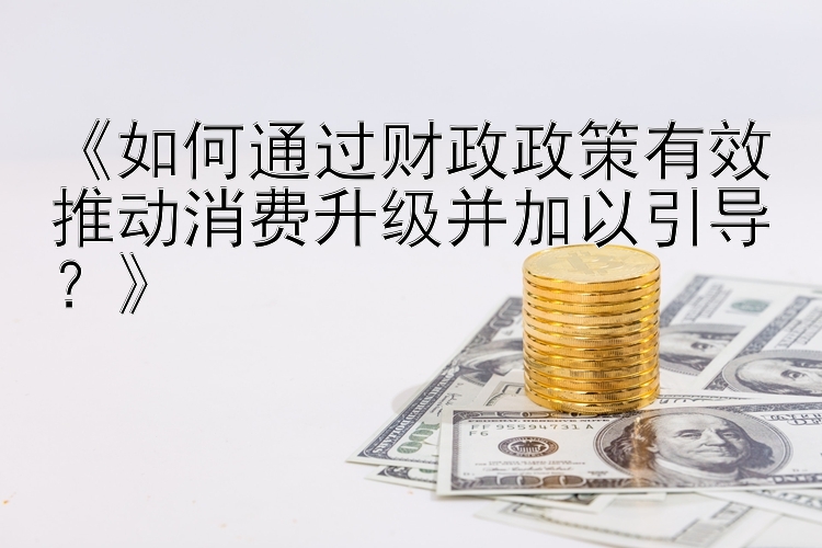 《如何通过财政政策有效推动消费升级并加以引导？》