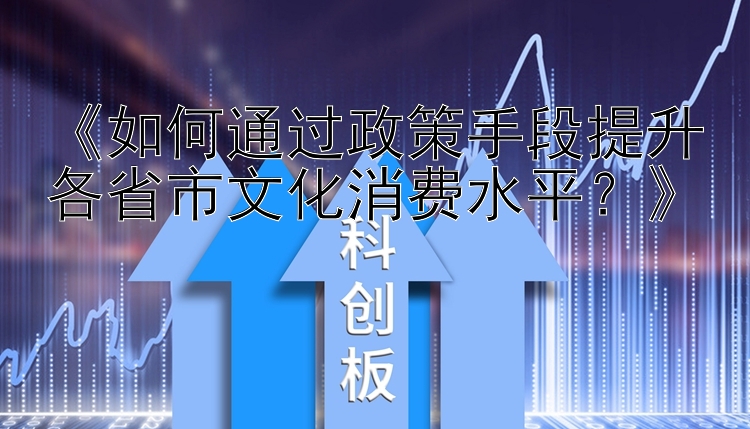 《如何通过政策手段提升各省市文化消费水平？》