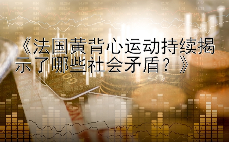 《法国黄背心运动持续揭示了哪些社会矛盾？》