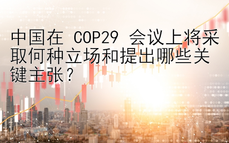 中国在 COP29 会议上将采取何种立场和提出哪些关键主张？