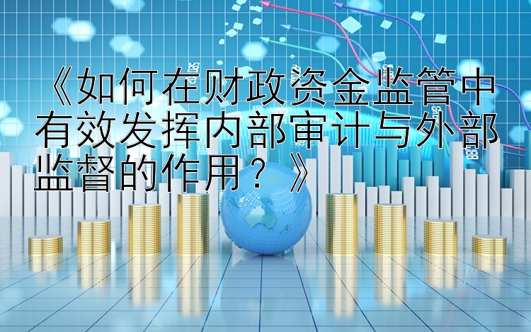 《如何在财政资金监管中有效发挥内部审计与外部监督的作用？》