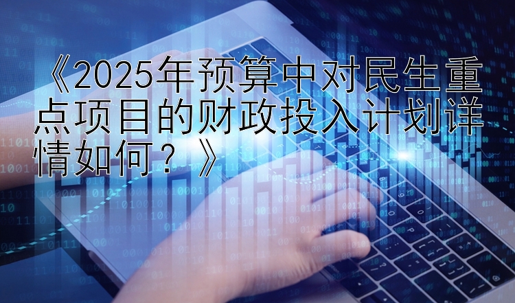 《2025年预算中对民生重点项目的财政投入计划详情如何？》