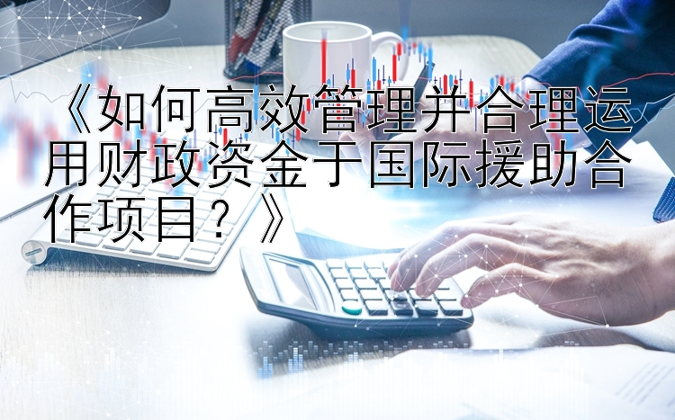 《如何高效管理并合理运用财政资金于国际援助合作项目？》