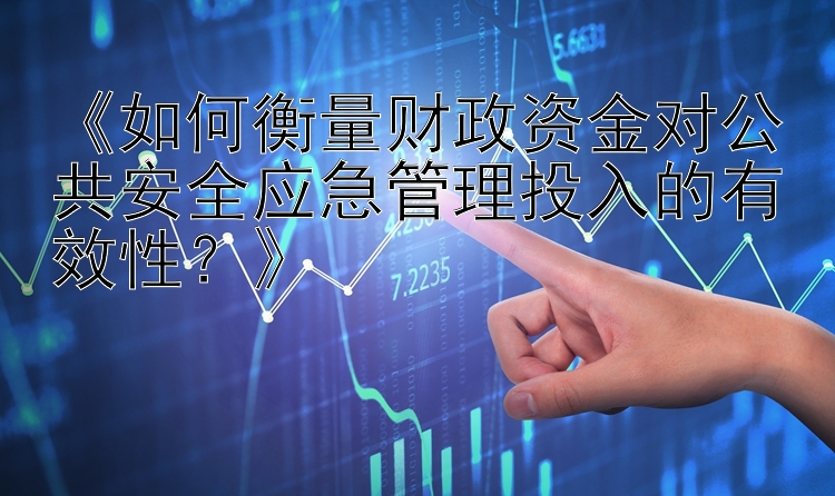 《如何衡量财政资金对公共安全应急管理投入的有效性？》