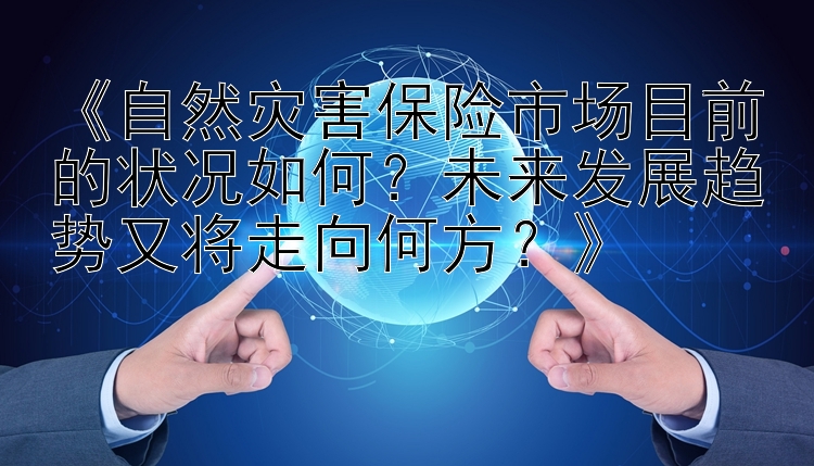 《自然灾害保险市场目前的状况如何？未来发展趋势又将走向何方？》